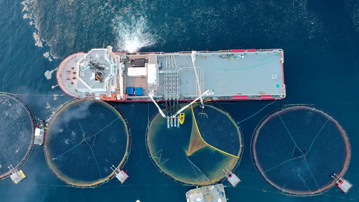 Bilde%2013_11_2020%2C%2010%2032%2015