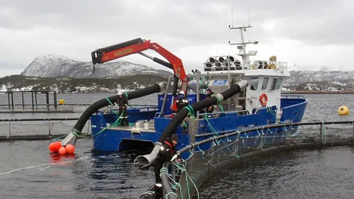 47-yjgHh9tDnqQcHw3IOrQuAEG-TKj7WBYymvDSi78Iw