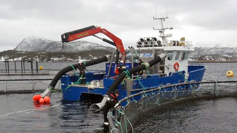 47-yjgHh9tDnqQcHw3IOrQuAEG-TKj7WBYymvDSi78Iw