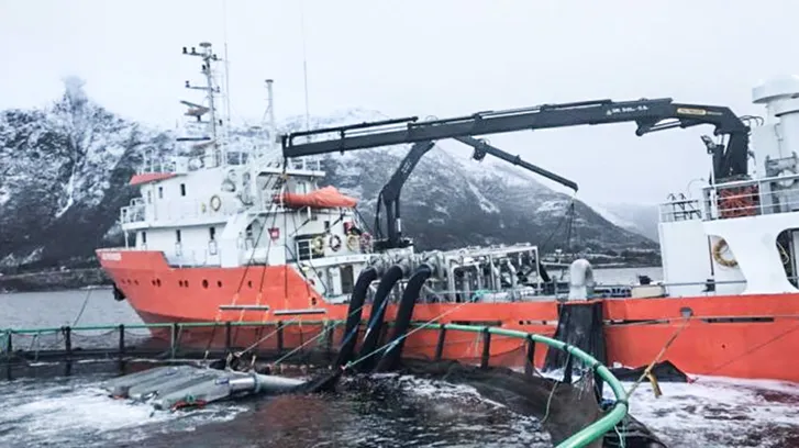 fls-omtale-avlusing-av-laks