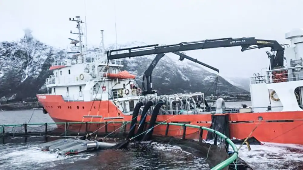 fls-omtale-avlusing-av-laks