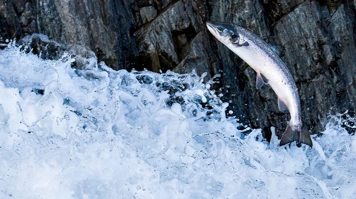 Screen-_MG_8189-2-_v2