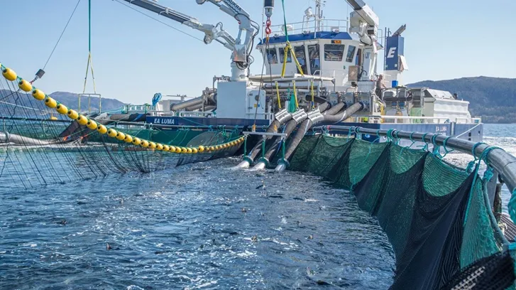 FLS-AKVA-group-en-embarcaci%C3%B3n