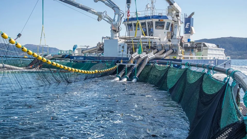 FLS-AKVA-group-en-embarcaci%C3%B3n