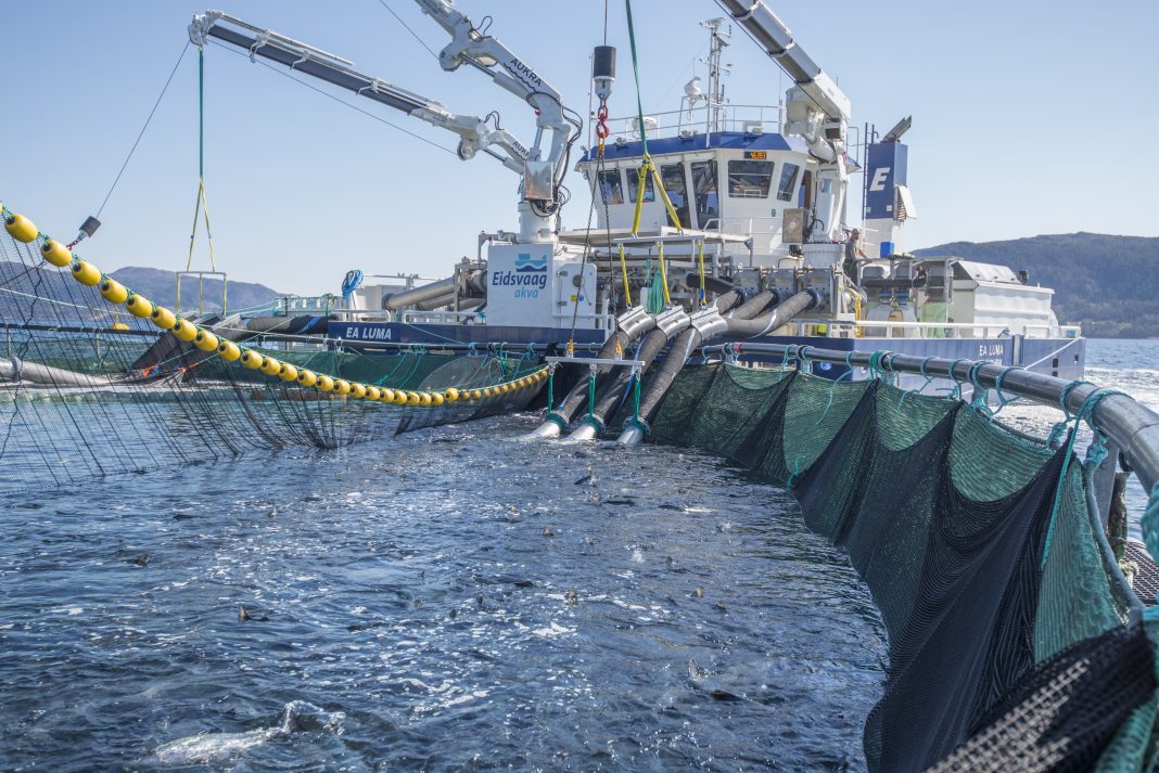 FLS-Avlusningssystem-1068x713